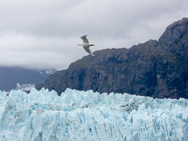 Glacier Bay National Park