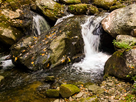 Small waterfall on way to Anna Ruby Falls