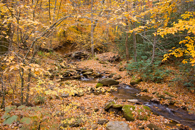 Blueridge Parkway