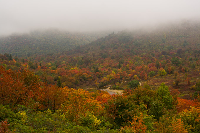 Blueridge Parkway