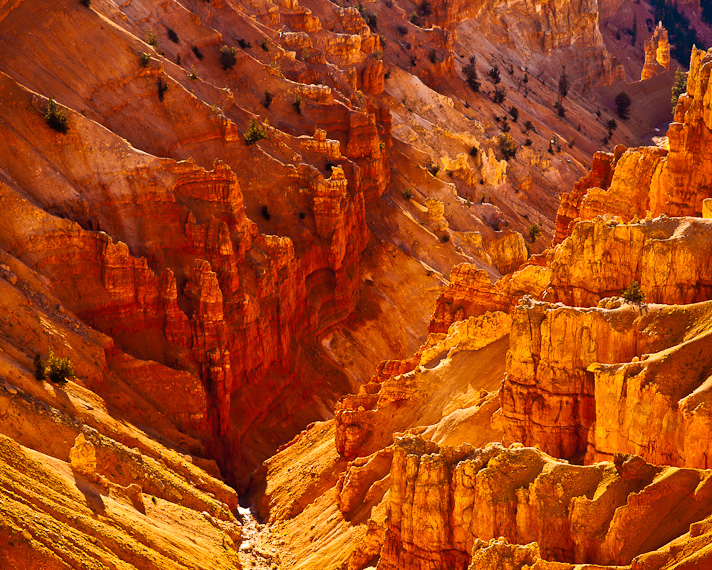 Cedar Breaks National Monument