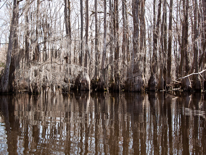 Merchant's Millpond 2010