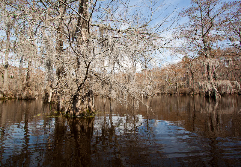 Merchant's Millpond 2010