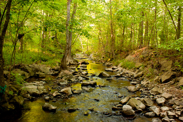 Crooked Run Creek, Durham, NC