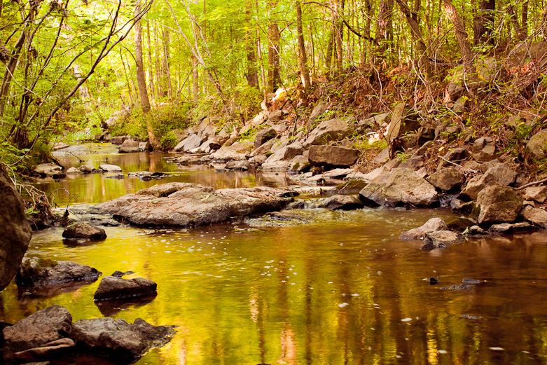 Crooked Run Creek, Durham, NC