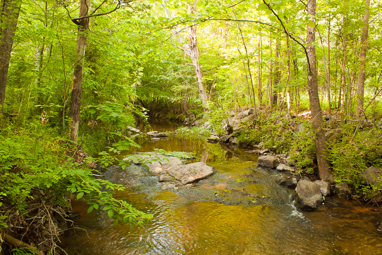 Crooked Run Creek, Durham, NC