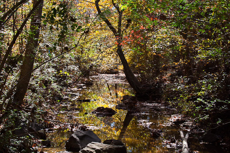 Crooked Run Creek, Durham, NC