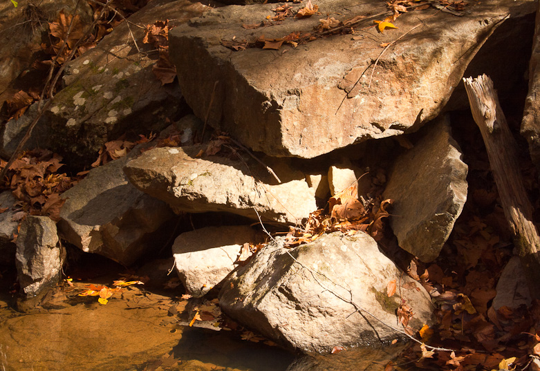 Crooked Run Creek, Durham, NC