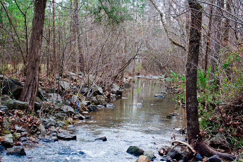 Crooked Run Creek, Durham, NC