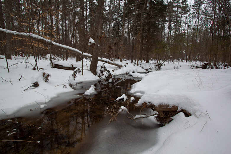 Crooked Run Creek, Durham, NC