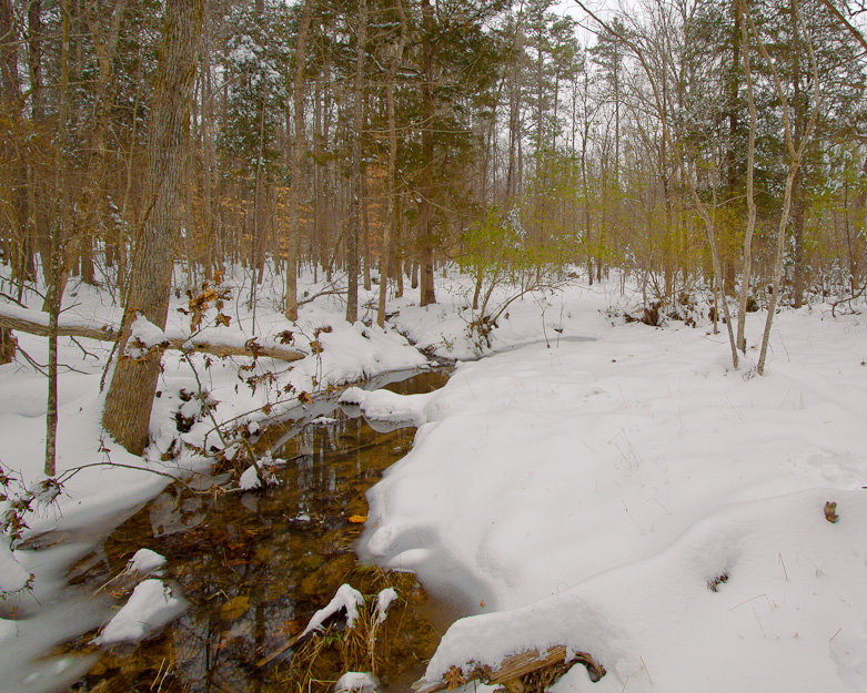 Crooked Run Creek, Durham, NC