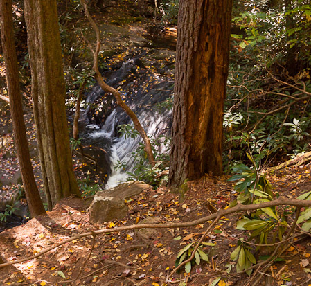 Falls on Dodds Creek, Georgia