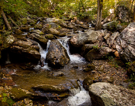 On the way to Anna Ruby Falls