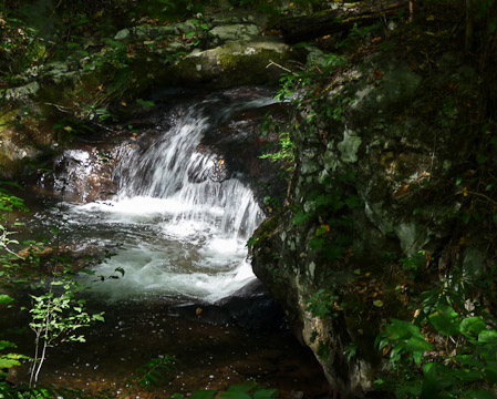 Small waterfall on way to Anna Ruby Falls