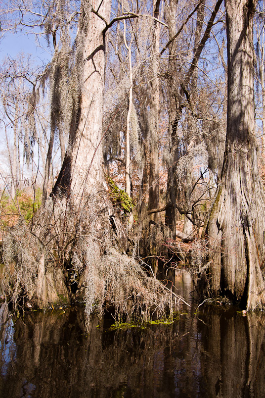 Merchant's Millpond 2010