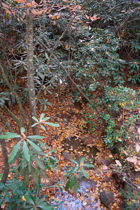 Tullulah Gorge