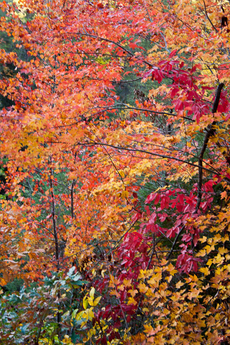 Tullulah Gorge